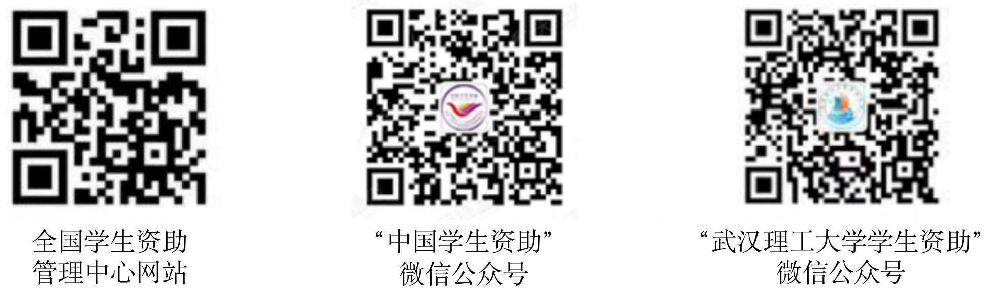 绿色通道二维码.png
